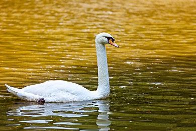 《火影忍者：终极风暴羁绊》将于11月17日正式发售