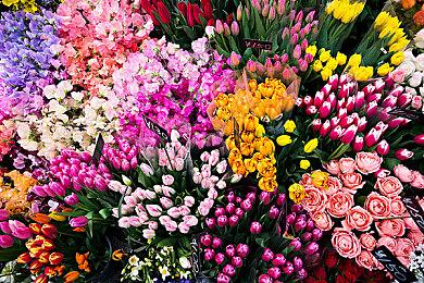 3DM速报：Steam遣返部分阿根廷跨区 CDPR称2077稳定性已让人满意