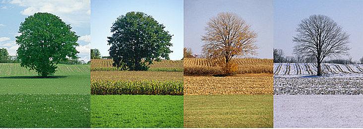 《星空》引入实时扒窃机制 紧张感获得大幅提升